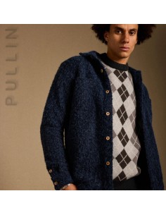 Chemise Geko cotta blue  - Pullin